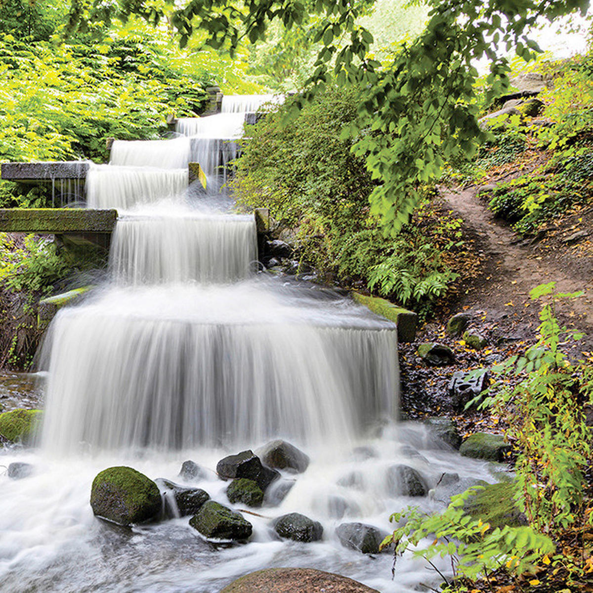 GLASBILD Landschaft & Natur  - Multicolor, Natur, Glas (30/30/1,40cm) - Euroart