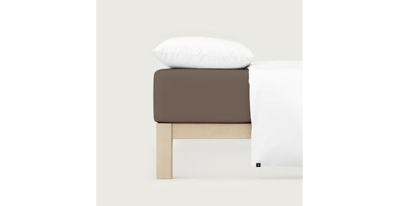SPANNLEINTUCH 150/200 cm Jersey  - Braun, Basics, Textil (150/200cm) - Novel