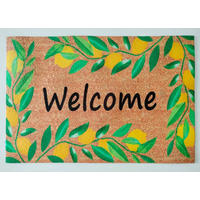 ROHOŽKA, 40/60 cm - Basics, plast (40/60cm)