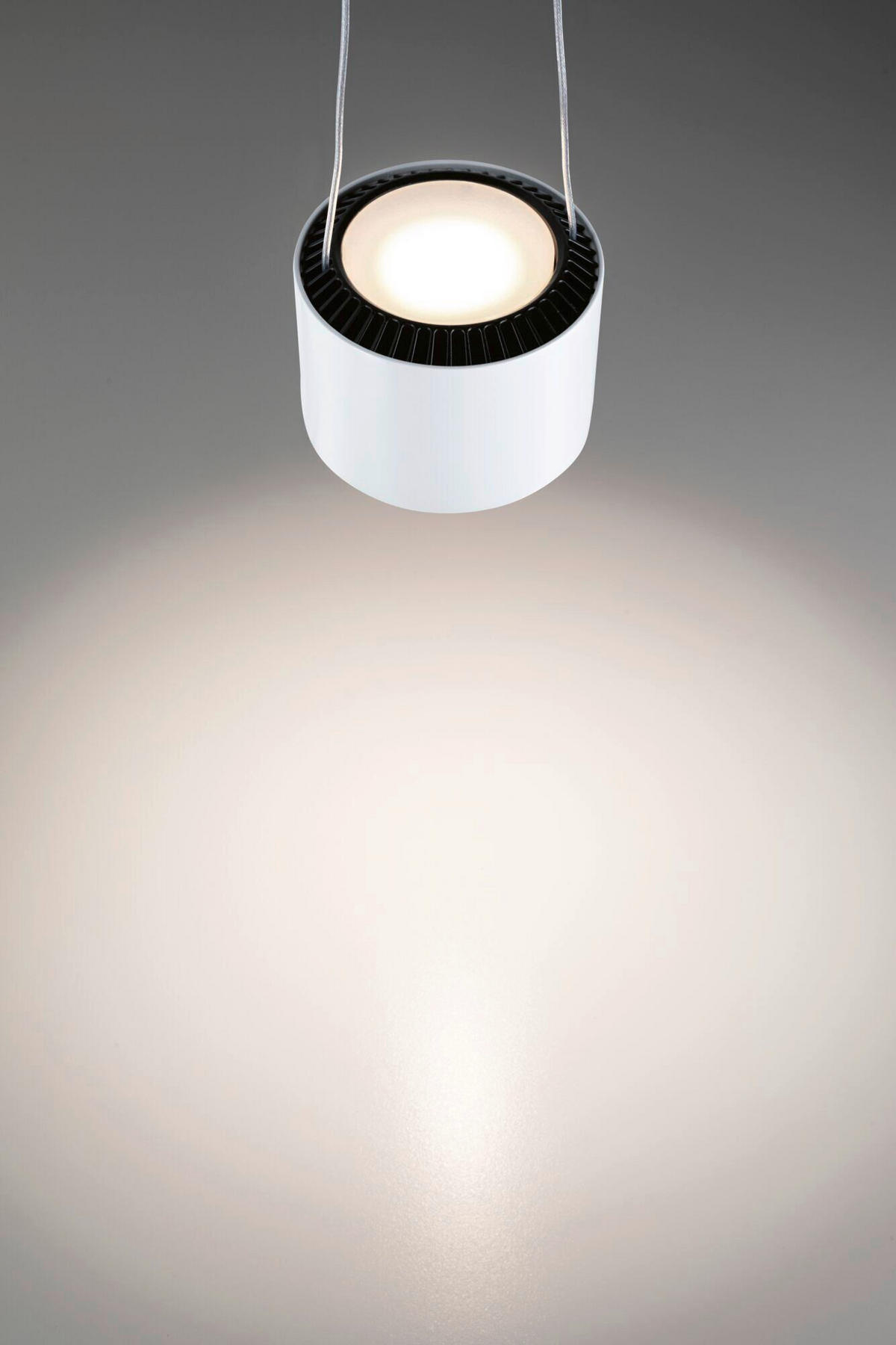 SCHIENENSYSTEM-HÄNGELEUCHTE - Basics (20-150/9,8/8,5cm) - Paulmann