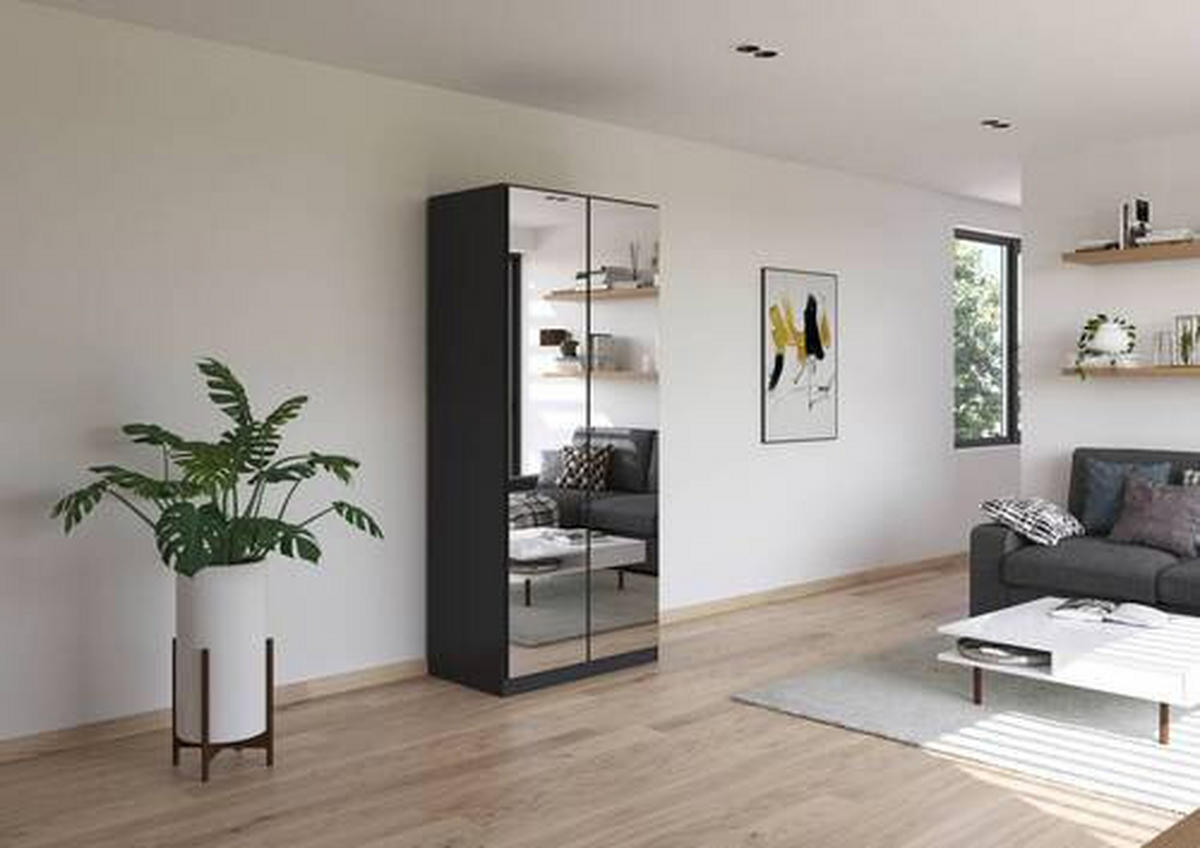 Dulap Cu Uși Rotative, 91/210/54 cm, antracit, argintiu - argintiu/alb, Basics, metal/material pe bază de lemn (91/210/54cm)