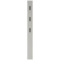 ŠATNÍ PANEL, kašmírová, 15/170/3 cm - kašmírová, Basics, kompozitní dřevo (15/170/3cm)