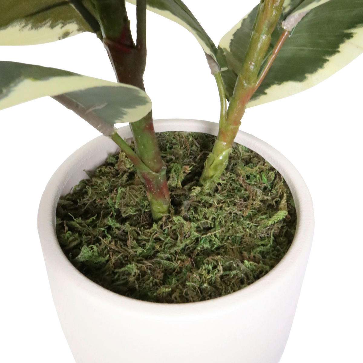 KUNSTPFLANZE  - Dunkelgrün/Creme, MODERN, Kunststoff/Metall (60/85/55cm) - MID.YOU