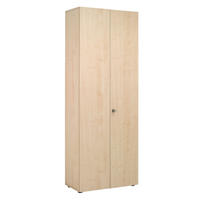 AKTENSCHRANK  - KONVENTIONELL (80/215,6/42cm) - Venda