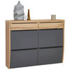 HÄNGESCHUHSCHRANK furniert, massiv Grau, Eichefarben  - Eichefarben/Anthrazit, Design, Holzwerkstoff/Metall (121/95/31cm) - Dieter Knoll
