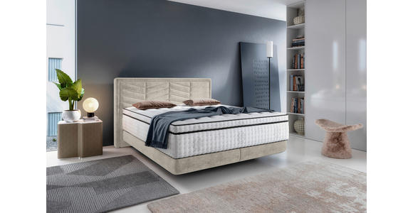 BOXSPRINGBETT 180/200 cm in Hellgrau - Hellgrau/Schwarz, KONVENTIONELL, Kunststoff/Textil (180/200cm) - Carryhome
