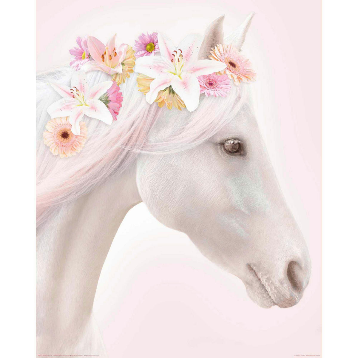 POSTER 40/50 cm  - Multicolor, LIFESTYLE, Papier (40/50cm) - Reinders!