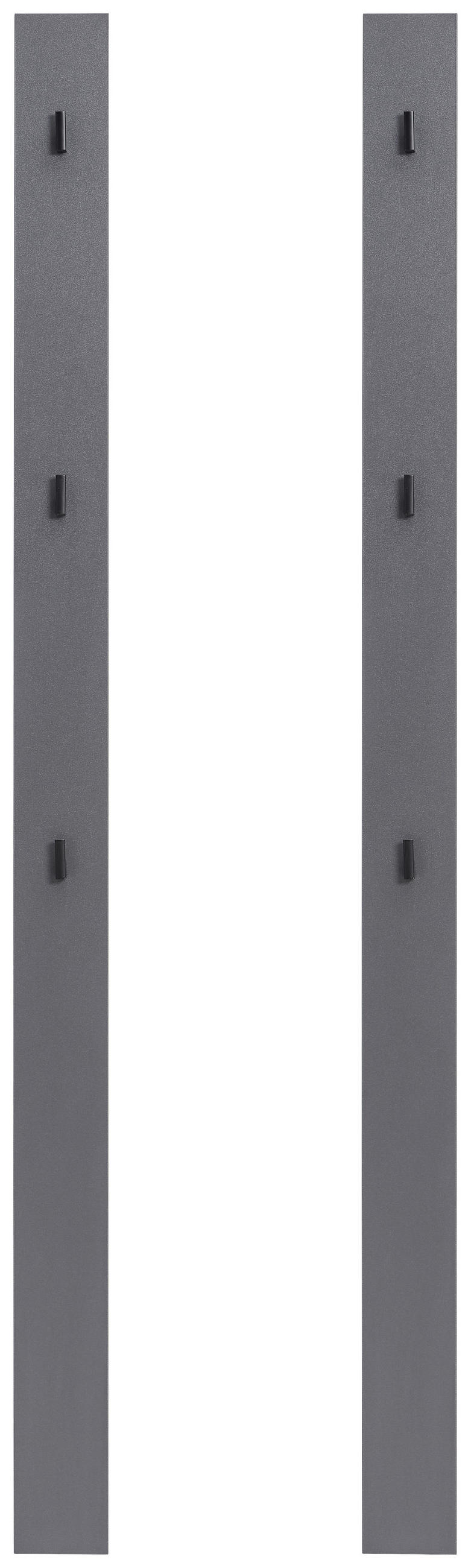 GARDEROBENPANEEL 10/163/2 cm  - Salbeigrün/Anthrazit, MODERN (10/163/2cm) - Hom`in