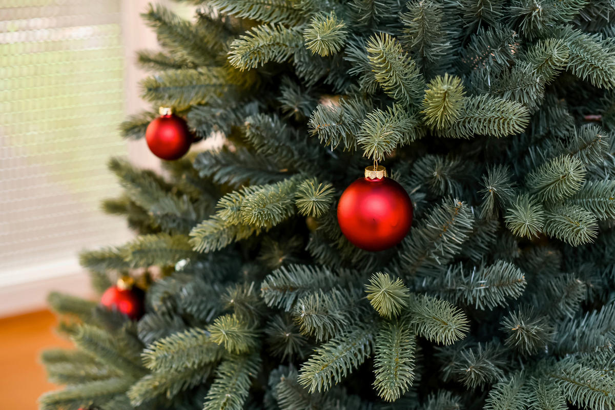 WEIHNACHTSBAUM 240 cm  - Waldgrün, Basics, Kunststoff/Metall (160/240cm)