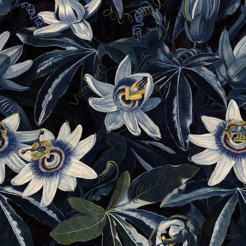 Xora Fototapete Blau, Schwarz, Weiß 200x280 cm
