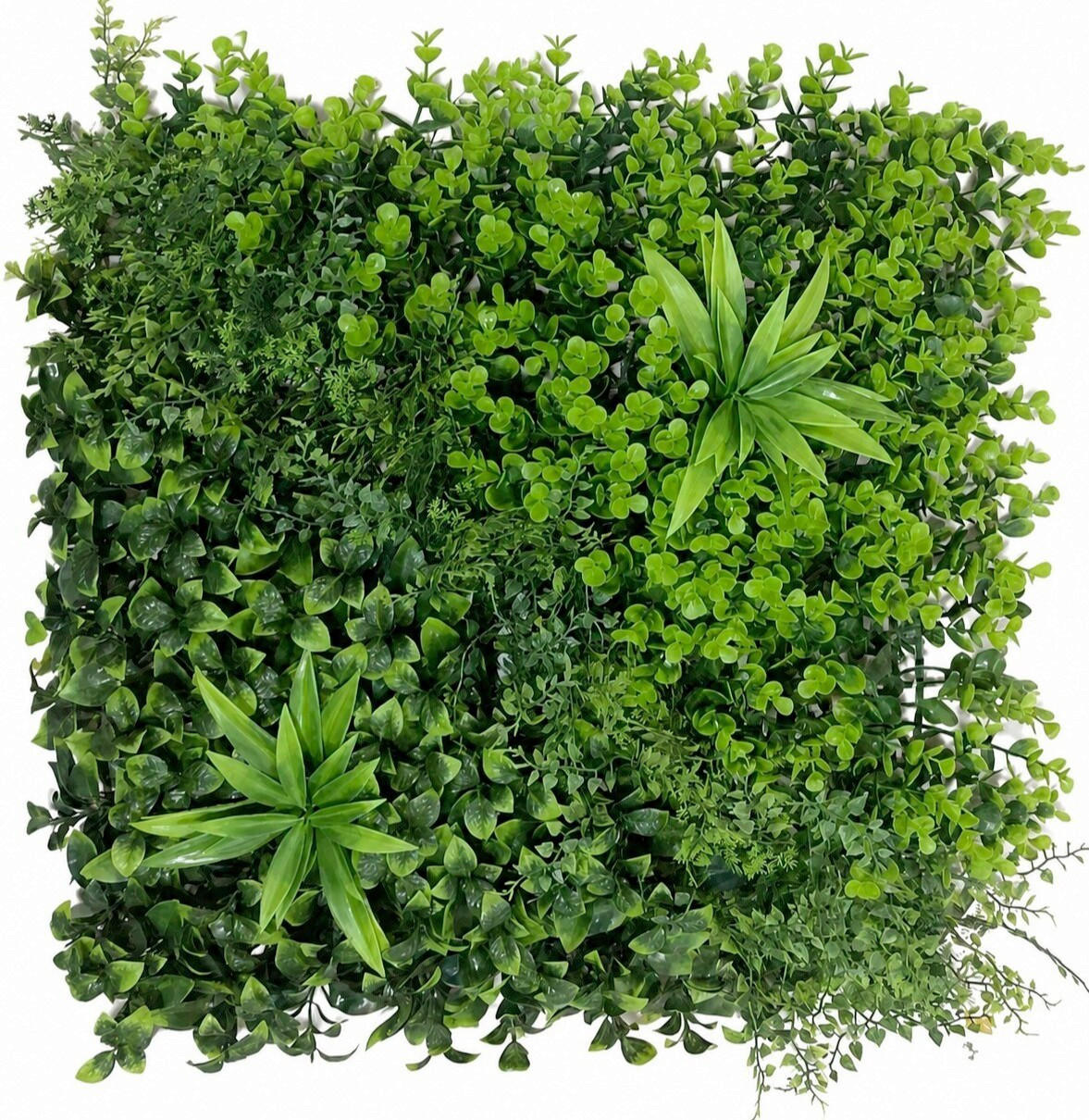 OBLOGA ZIDNA  zelena  - zelena, Design, plastika (50/50/3cm)