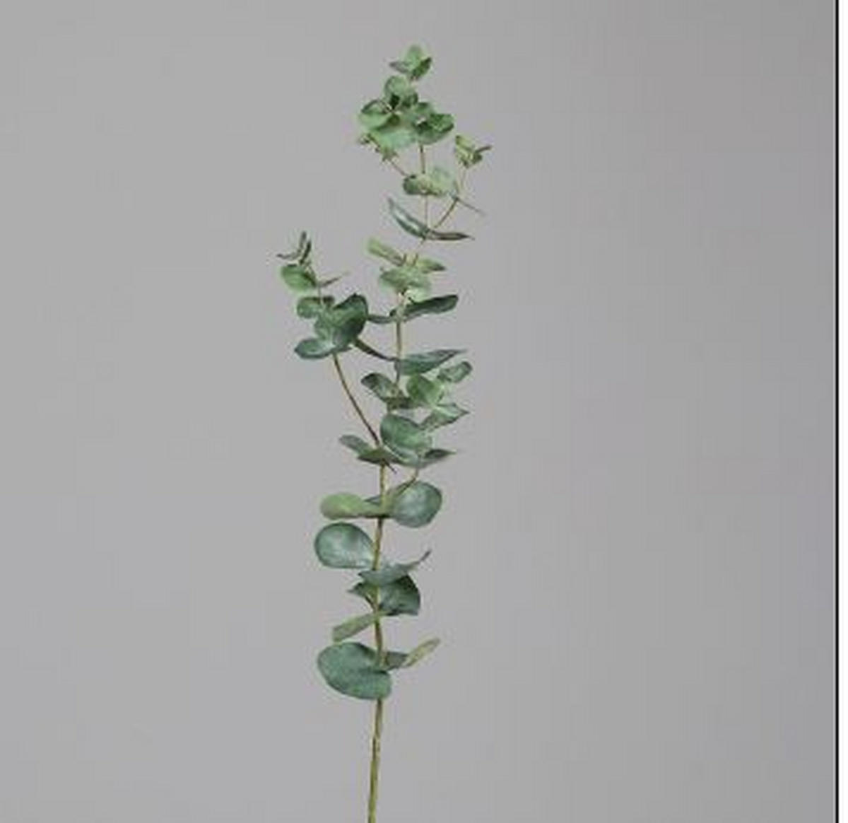 DEKOZWEIG - Basics (74cm)