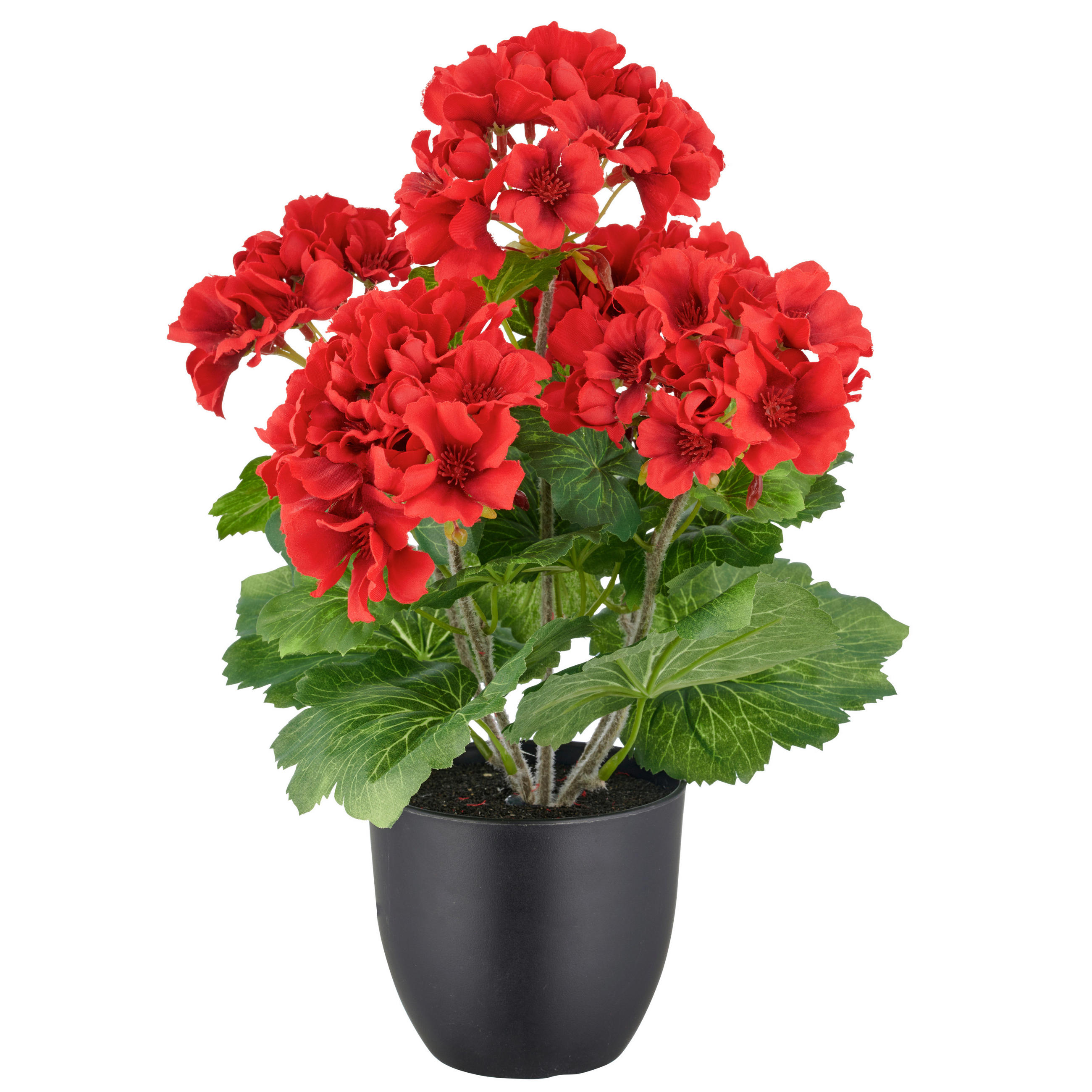 KUNSTPFLANZE Geranie  - Rot/Schwarz, Basics, Kunststoff (20/40/20cm) - P & B