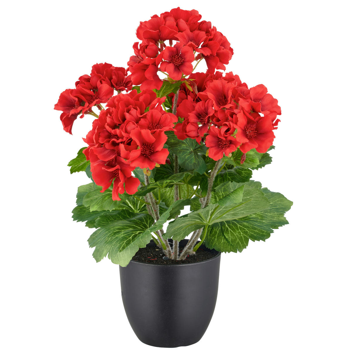 KUNSTPFLANZE Geranie 40 cm  - Rot/Schwarz, Basics, Kunststoff (40cm) - P & B