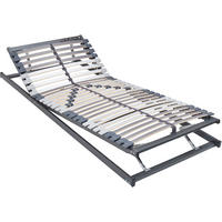 LATTENROST 90/200 cm, Kopfteil, Fußteil, Mittelzone verstellbar, Birke, Buche  - Silberfarben/Hellgrau, Basics, Holz/Metall (90/200cm) - Musterring