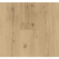 VINYLBODEN Vinyl Basic 5.3  per  m² - Eichefarben, Basics, Kunststoff (120.9/22.5/0.53cm) - Parador