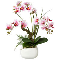 KUNSTPFLANZE Orchidee 46 cm  - Rosa/Weiß, Design, Keramik/Kunststoff (46cm) - P & B