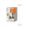 LED-STEHLEUCHTE 40/180 cm    - Design (40/180cm) - Ledvance