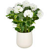 KUNSTPFLANZE Hortensie  - Creme/Weiß, Basics, Kunststoff (25/75/25cm)