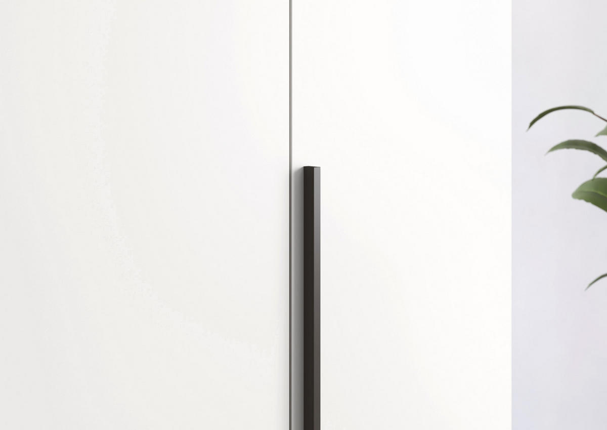 DREHTÜRENSCHRANK 201/223/60 cm,  in Weiß, 4-türig  - Graphitfarben/Weiß, Design, Glas/Holzwerkstoff (201/223/60cm) - home24