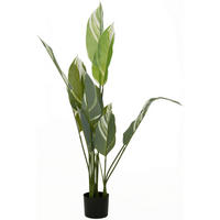 Plantă Artificială - Basics, plastic (70/70/118cm)