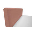 BOXBETT 160/200 cm  in Rosa  - Schwarz/Rosa, Design, Holz/Holzwerkstoff (160/200cm) - Xora