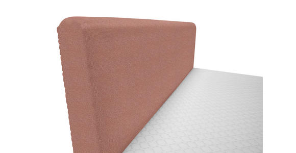 BOXBETT 160/200 cm in Rosa - Schwarz/Rosa, Design, Holz/Holzwerkstoff (160/200cm) - Xora
