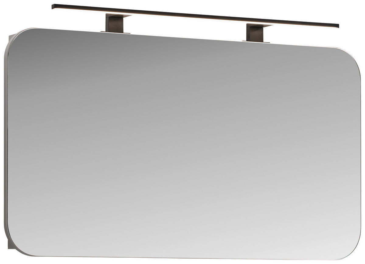 SPIEGELSCHRANK 100/55/16,5 cm  - Grau, Design, Glas/Holzwerkstoff (100/55/16,5cm) - home24