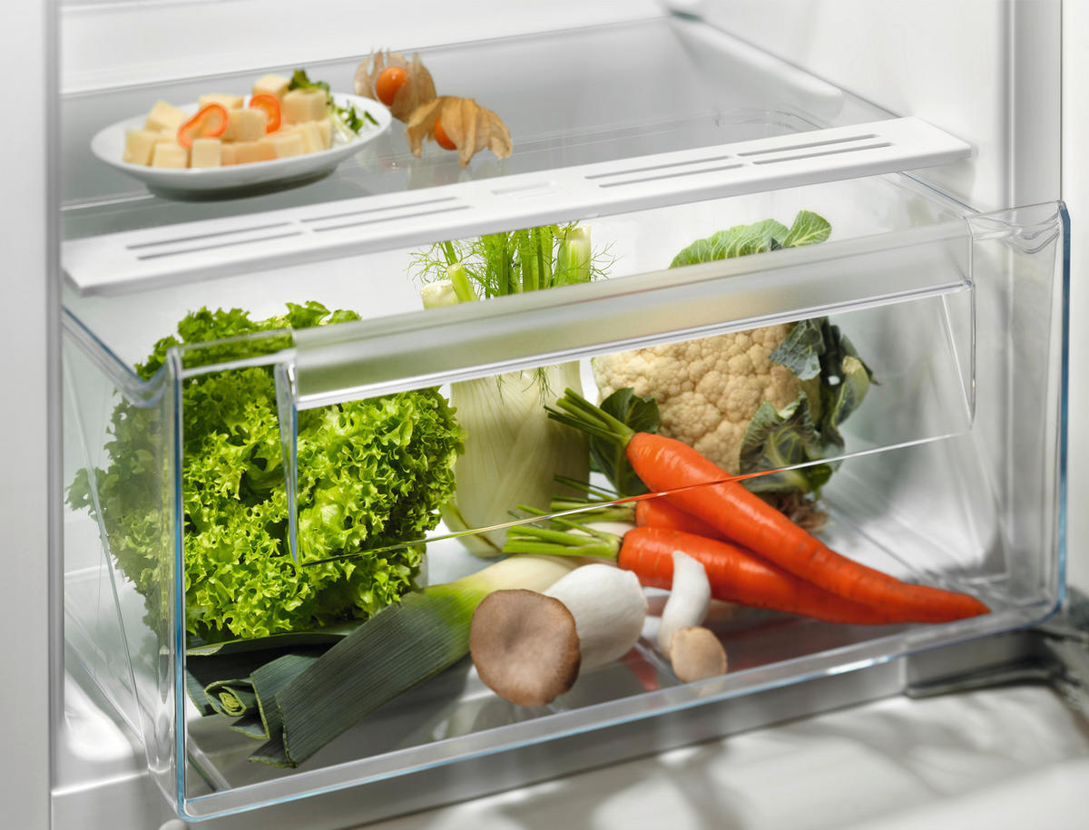 KÜHLSCHRANK 54,8/121,8/54,9 cm LRB3AE12S  - Weiß, Basics, Glas/Kunststoff (54,8/121,8/54,9cm) - Electrolux