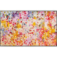 FUSSMATTE - Multicolor, Konventionell, Kunststoff/Textil (75/120cm) - wash+dry