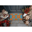 KOKOSMATTE 45/75 cm Mix Mats  - Hellbraun/Hellblau, Basics, Naturmaterialien/Kunststoff (45/75cm) - Esposa