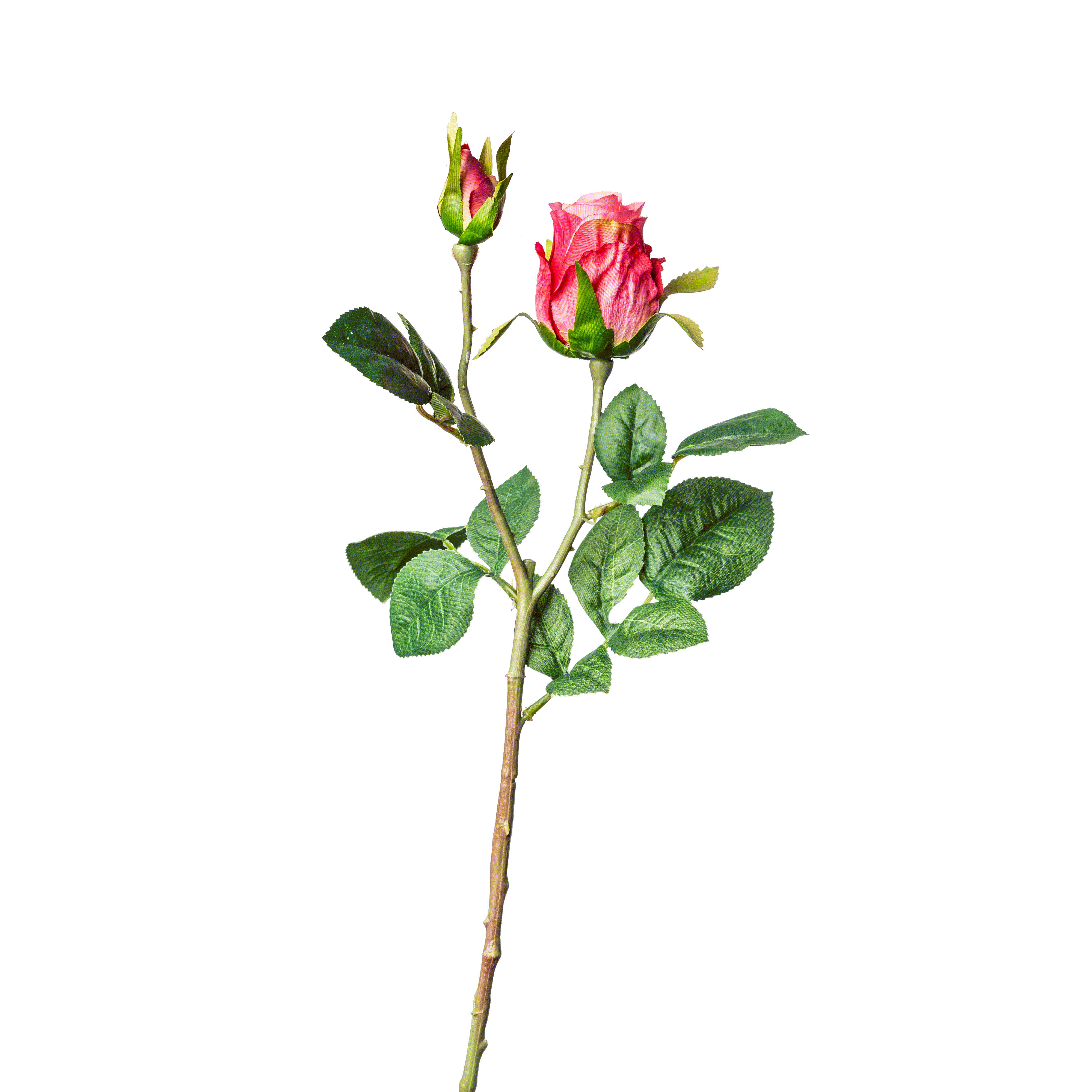 ROSE Rose  - Rosa/Grün, Basics, Kunststoff (45cm)
