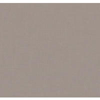 TKANINA ZA ZAVJESE taupe - taupe, Basics, tekstil (305cm)