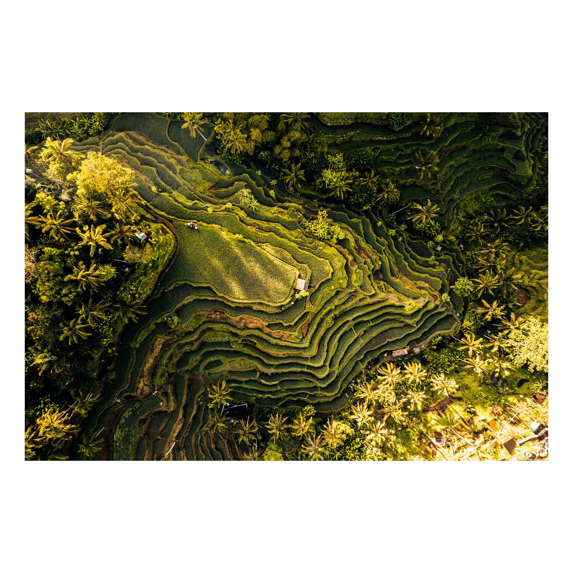 GLASBILD 120/80 cm  - Multicolor, Basics, Glas/Papier (120/80cm)