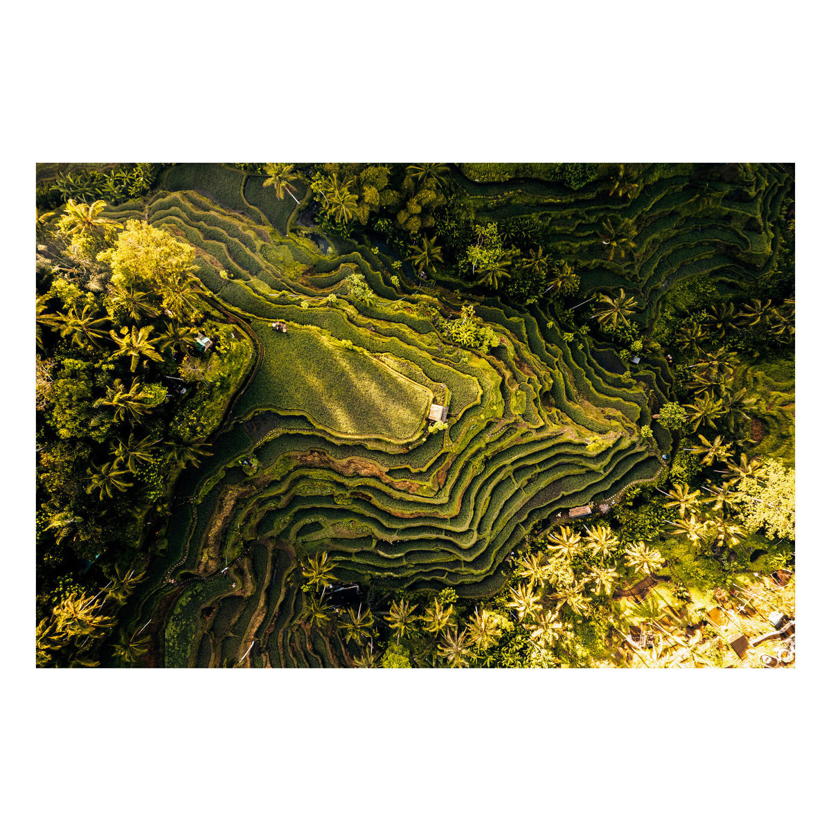 GLASBILD 120/80 cm  - Multicolor, Basics, Glas/Papier (120/80cm)