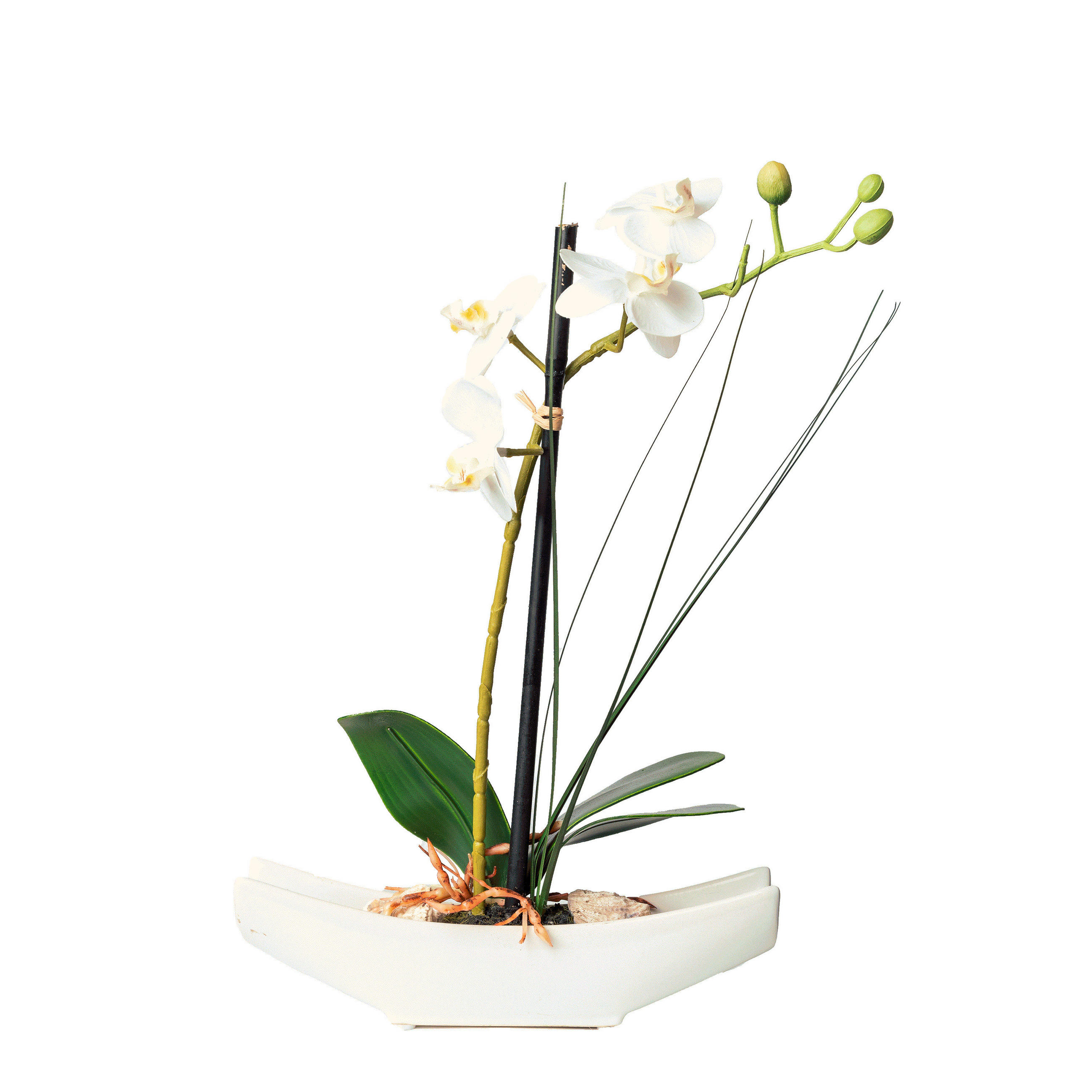 KUNSTBLUME Orchidee  - Creme/Weiß, Basics, Kunststoff (ca 30cm)