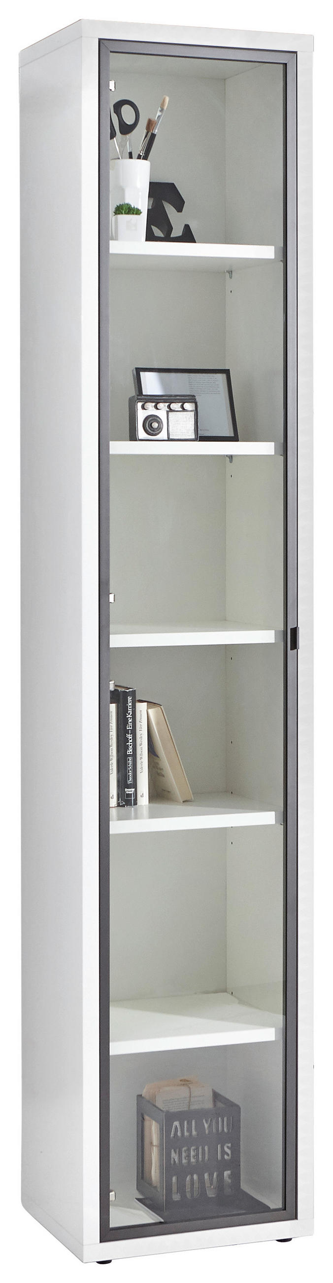 VRATA - antracit, Design, kovina/steklo (37/209/2cm) - Carryhome