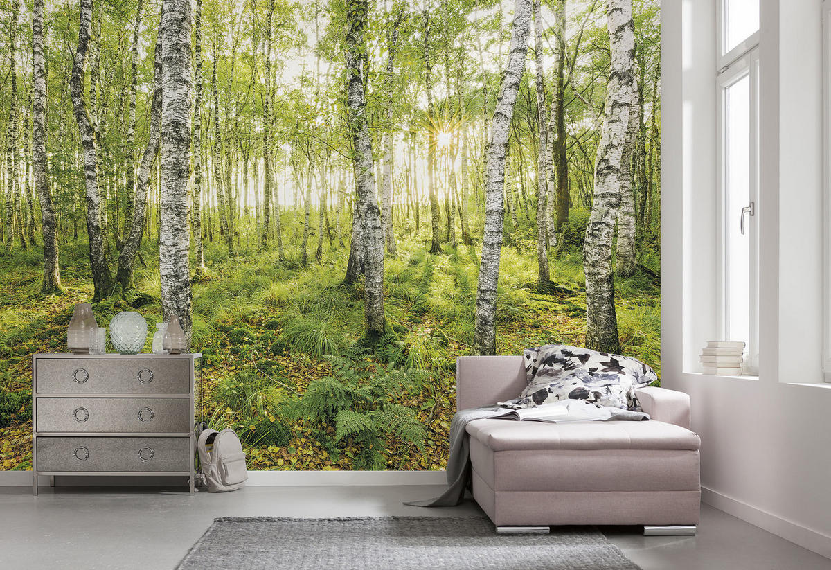 NON WOVEN-TAPET 400/250 cm  - Natur (400/250cm)