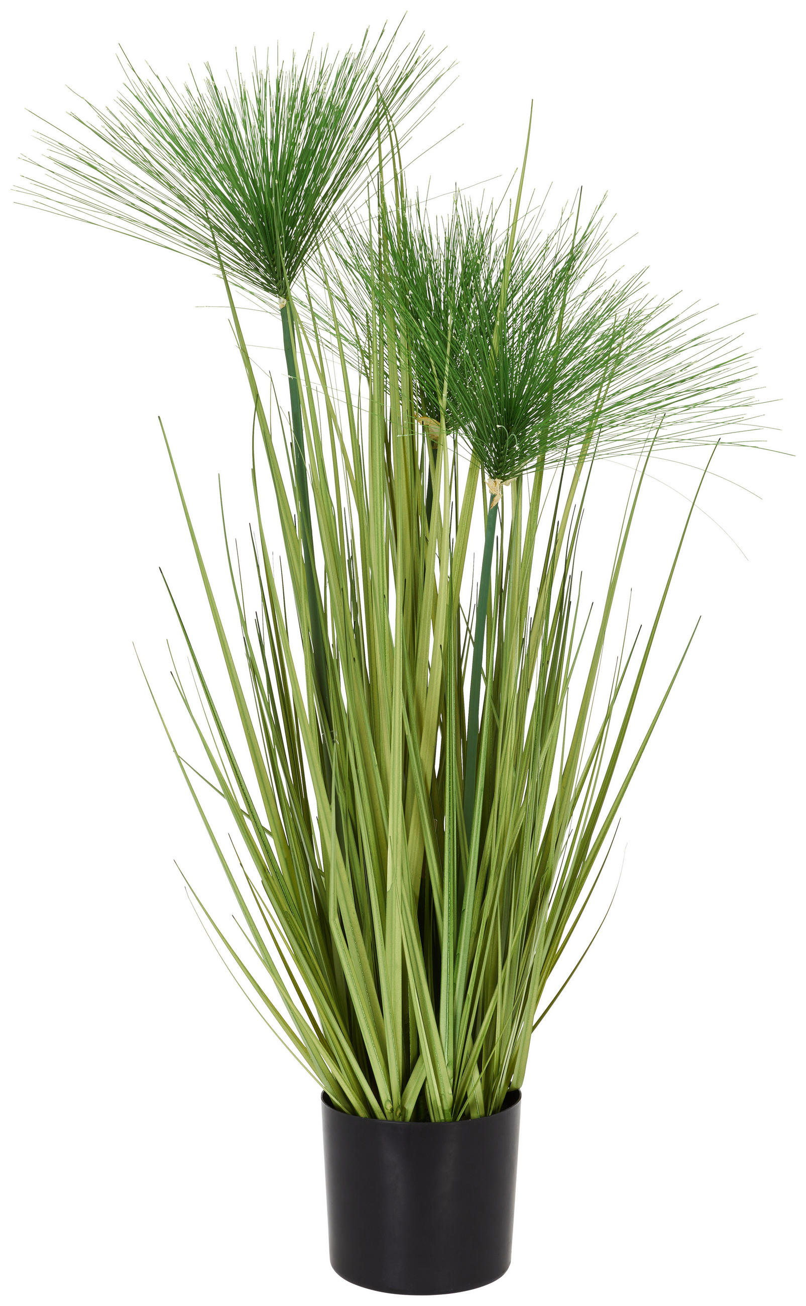 KUNSTPFLANZE 76 cm  - Basics (76cm) - Ambia Home