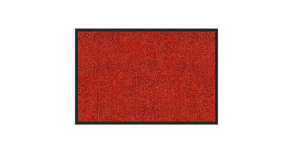SCHMUTZFANGMATTE - Rot, KONVENTIONELL, Kunststoff (120/180cm) - Esposa
