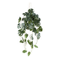 KUNSTPFLANZE Split Philodendron 80 cm  - Schwarz/Weiß, Design, Kunststoff (80cm) - P & B