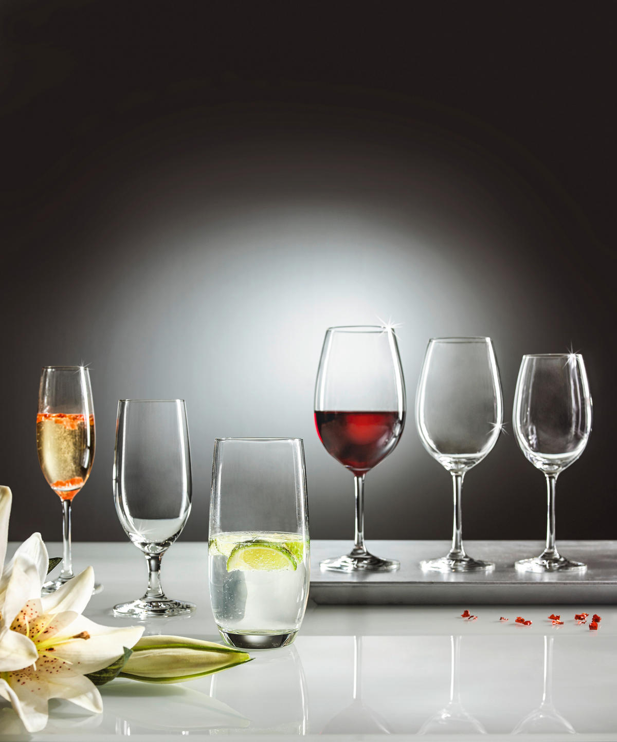 ČAŠA ZA BIJELO VINO  349 ml  Celebration  - prozirno, Basics, staklo (355ml) - Novel