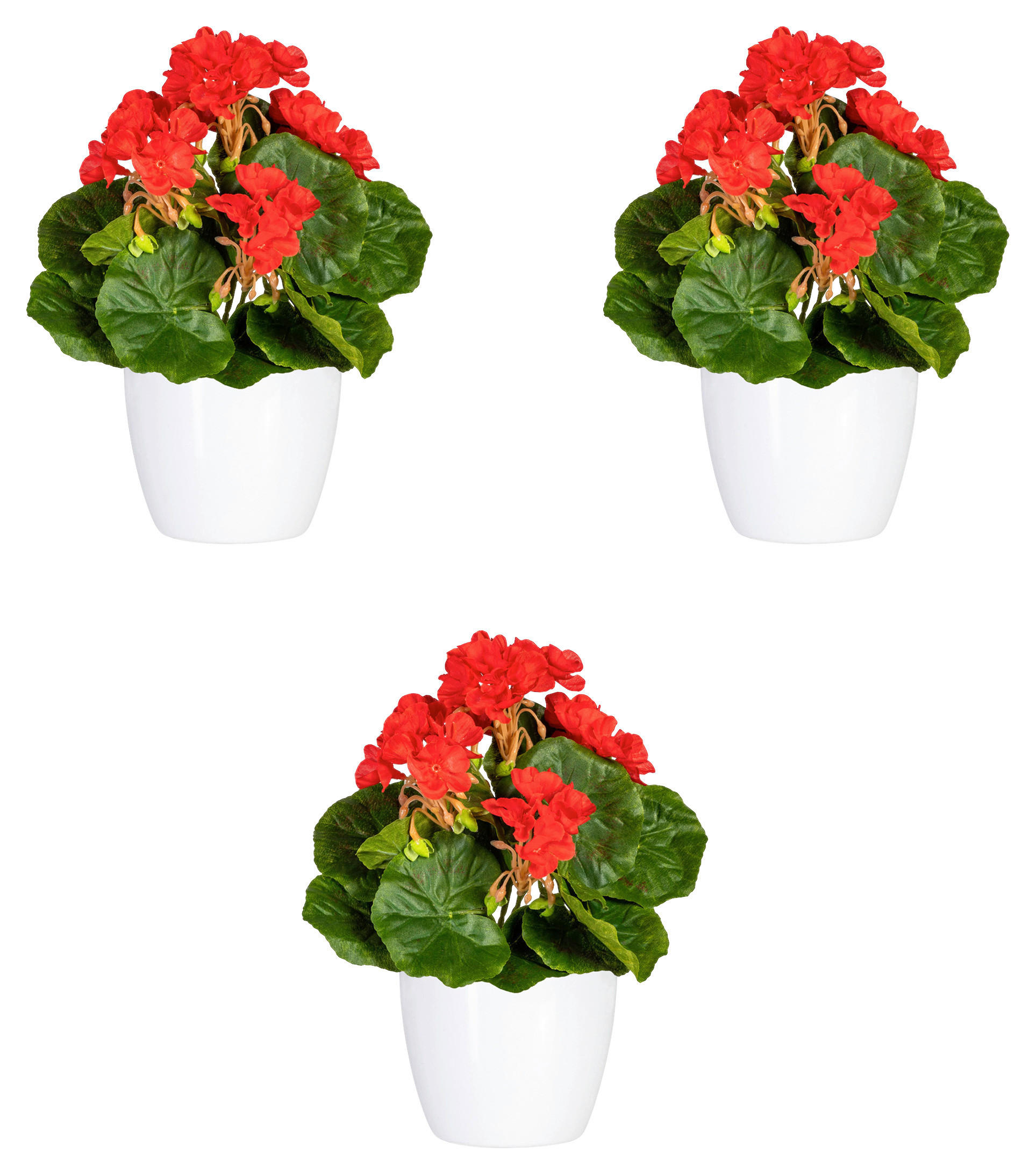 KUNSTPFLANZE Geranie 24 cm  - Rot/Weiß, Design, Keramik/Kunststoff (24cm)