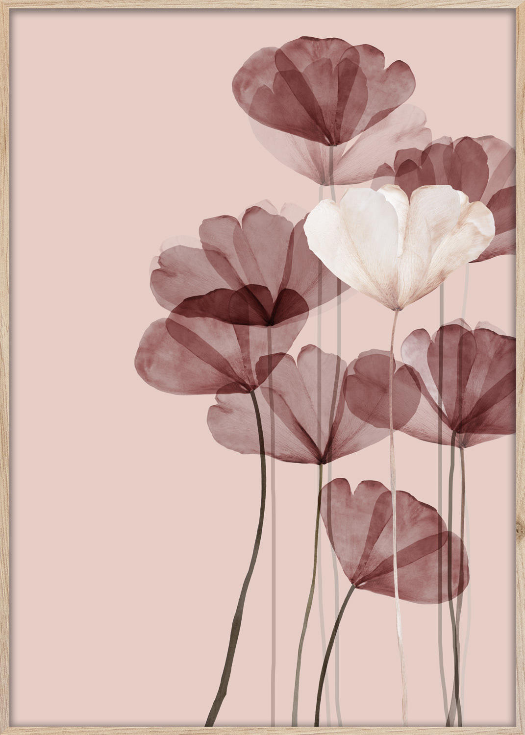 Keilrahmenbild 50/70 cm