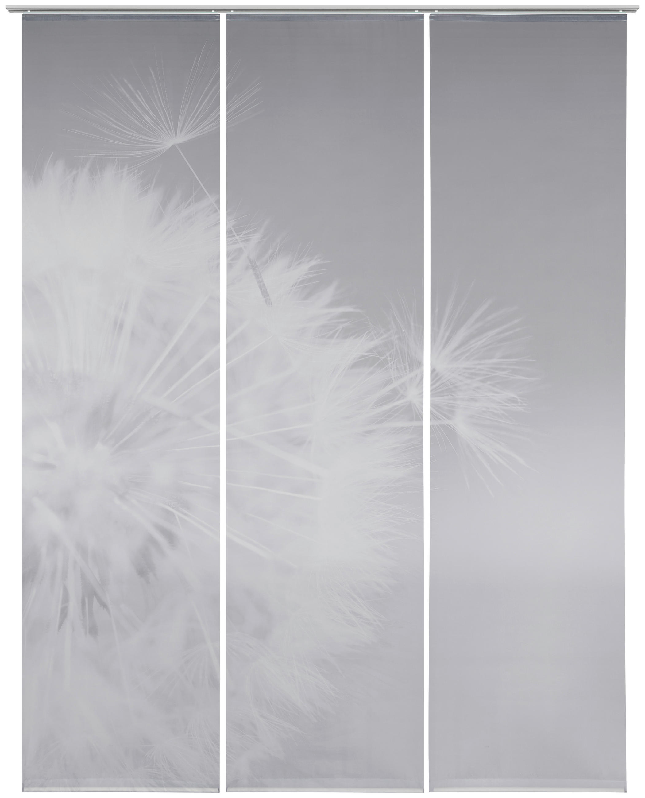 FLÄCHENVORHANG  3 Stück  halbtransparent  60/245 cm   - Anthrazit, Basics, Textil (60/245cm) - Novel