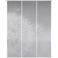 FLÄCHENVORHANG  3 Stück  halbtransparent  60/245 cm   - Anthrazit, Basics, Textil (60/245cm) - Novel