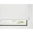ROLLO 100/160 cm  - Weiß, Design, Kunststoff (100/160cm) - Boxxx