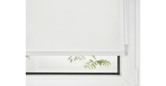 ROLLO 100/160 cm  - Weiß, Design, Kunststoff (100/160cm) - Boxxx