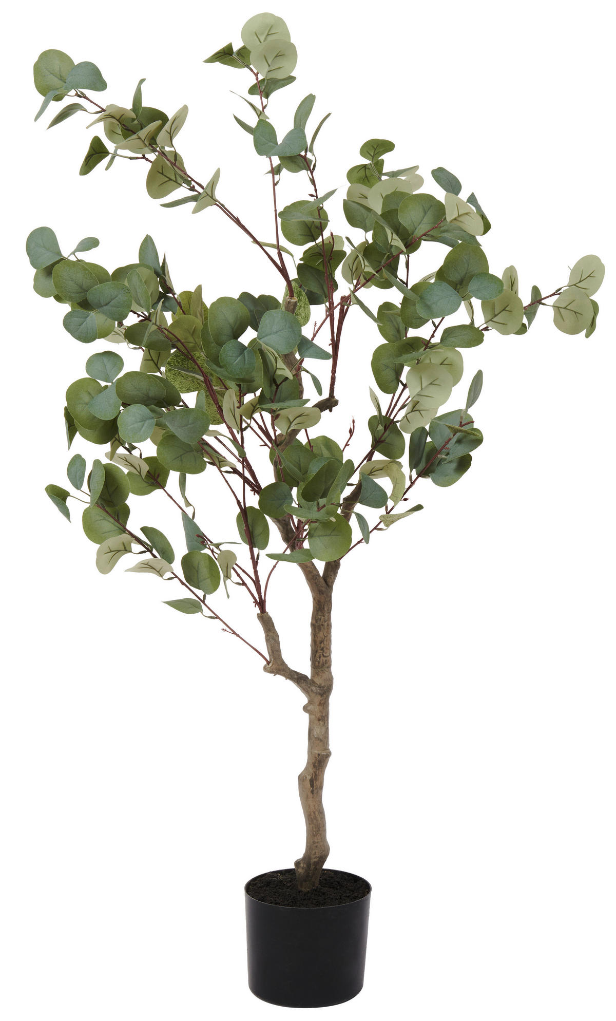 KUNSTPFLANZE 122 cm  - Dunkelgrau/Schwarz, Basics, Kunststoff/Textil (122cm) - Ambia Home