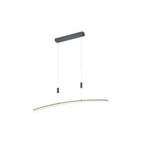 LED-HÄNGELEUCHTE 100/6 cm   - Anthrazit, Design, Kunststoff/Metall (100/6cm) - Hell